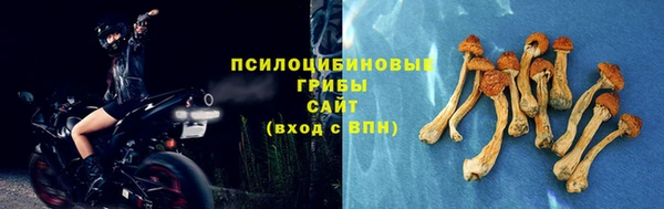таблы Покачи