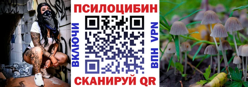 что такое   Себеж  Галлюциногенные грибы Cubensis 